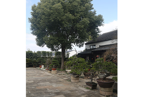中央空調(diào)清洗